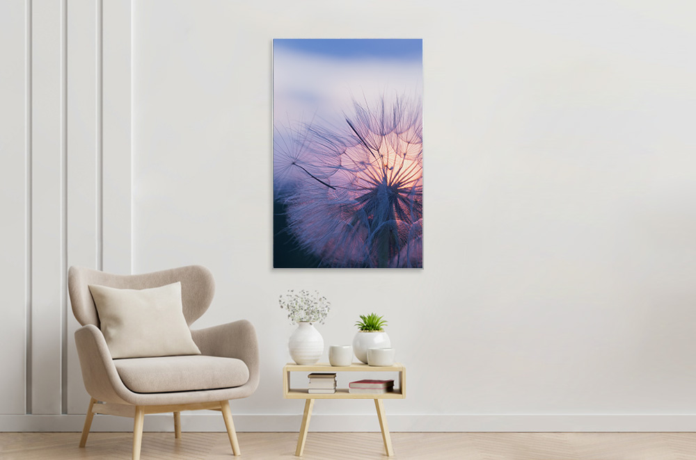 Pusteblume